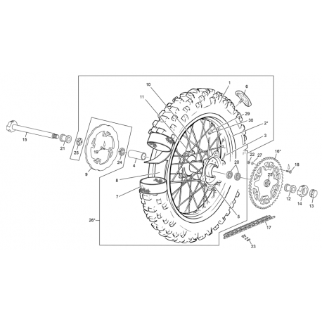 CAMARA TRASERA 18