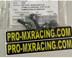 TORNILLO ESPECIAL 6 X 25 TH EP SHERCO SE / SEF