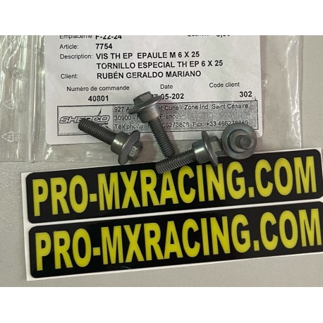 TORNILLO ESPECIAL 6 X 25 TH EP SHERCO SE / SEF