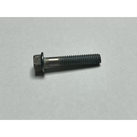 TORNILLO SHERCO 6X30 TH EP