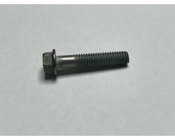 TORNILLO SHERCO 6X45 TH EP