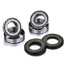KIT REPARACIÓN DE DIRECCIÓN FACTORY LINKS SHERCO / BMW / YAMAHA / SUZUKI